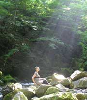 Japanese Reiki Master/Teacher 